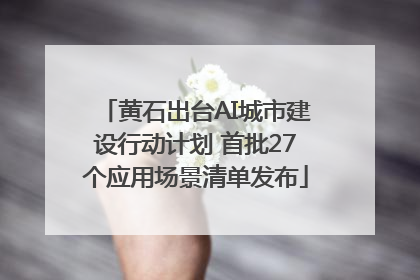 黄石出台AI城市建设行动计划 首批27个应用场景清单发布