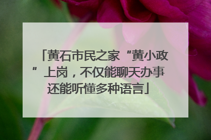 黄石市民之家“黄小政”上岗，不仅能聊天办事还能听懂多种语言