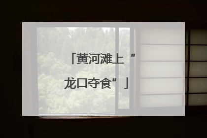 黄河滩上“龙口夺食”