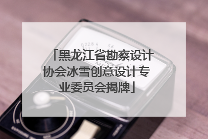 黑龙江省勘察设计协会冰雪创意设计专业委员会揭牌