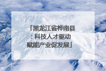黑龙江省桦南县：科技人才驱动 赋能产业促发展