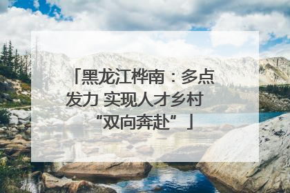 黑龙江桦南：多点发力 实现人才乡村“双向奔赴”