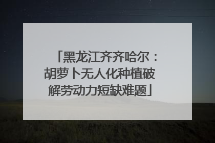 黑龙江齐齐哈尔：胡萝卜无人化种植破解劳动力短缺难题