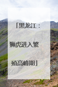黑龙江：狮虎进入繁殖高峰期