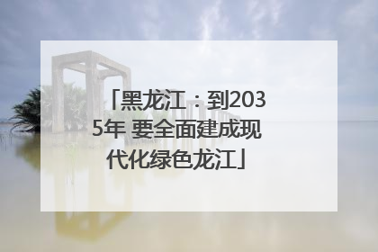 黑龙江：到2035年 要全面建成现代化绿色龙江