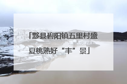 黟县碧阳镇五里村盛夏桃熟好“丰”景