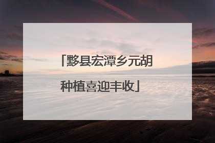 黟县宏潭乡元胡种植喜迎丰收