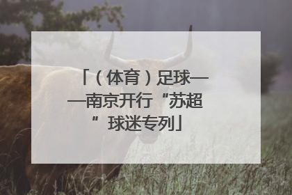 （体育）足球——南京开行“苏超”球迷专列