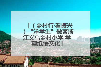 （乡村行·看振兴）“洋学生”做客浙江义乌乡村小学 学剪纸悟文化