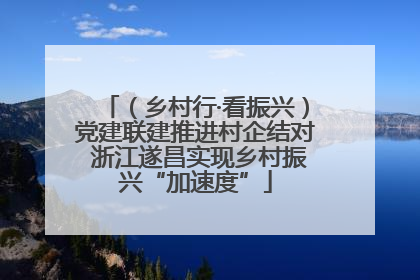 （乡村行·看振兴）党建联建推进村企结对 浙江遂昌实现乡村振兴“加速度”