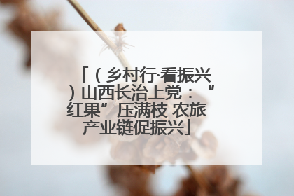 （乡村行·看振兴）山西长治上党：“红果”压满枝 农旅产业链促振兴