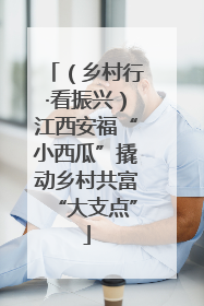 （乡村行·看振兴）江西安福“小西瓜”撬动乡村共富“大支点”