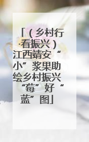 （乡村行·看振兴）江西靖安“小”浆果助绘乡村振兴“莓”好“蓝”图