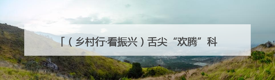 （乡村行·看振兴）舌尖“欢腾”科尔沁草原：打卡“草原味道”新地标