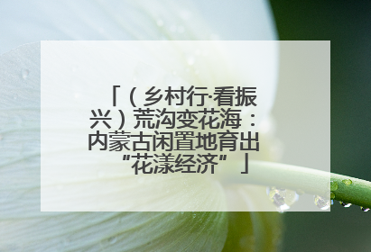 （乡村行·看振兴）荒沟变花海：内蒙古闲置地育出“花漾经济”