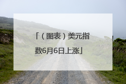 （图表）美元指数6月6日上涨