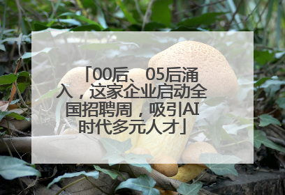00后、05后涌入，这家企业启动全国招聘周，吸引AI时代多元人才