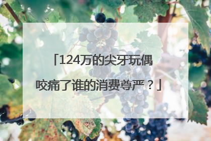 124万的尖牙玩偶 咬痛了谁的消费尊严？