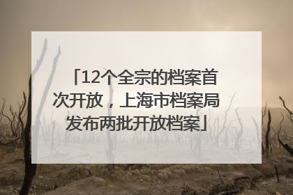 12个全宗的档案首次开放，上海市档案局发布两批开放档案