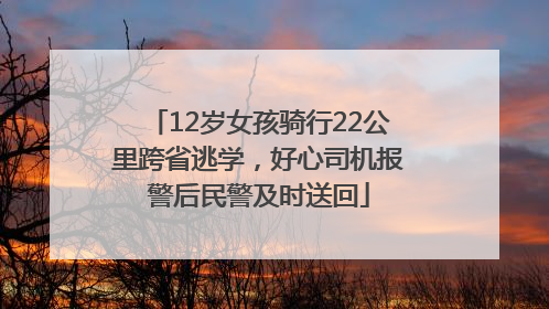 12岁女孩骑行22公里跨省逃学，好心司机报警后民警及时送回