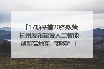 17项举措20条政策 杭州发布建设人工智能创新高地新“路径”