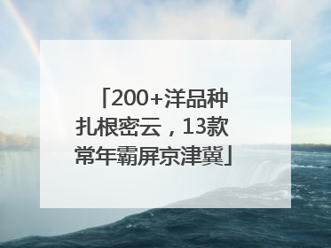 200+洋品种扎根密云，13款常年霸屏京津冀
