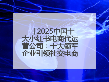 2025中国十大小红书电商代运营公司：十大领军企业引领社交电商新风向