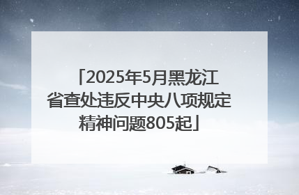 2025年5月黑龙江省查处违反中央八项规定精神问题805起