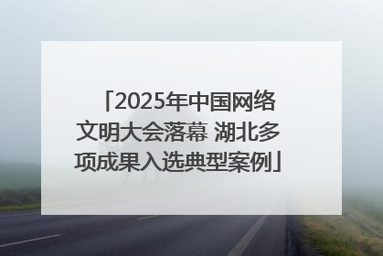 2025年中国网络文明大会落幕 湖北多项成果入选典型案例