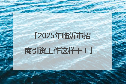 2025年临沂市招商引资工作这样干！