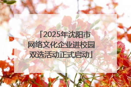 2025年沈阳市网络文化企业进校园双选活动正式启动