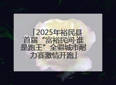 2025年裕民县首届“富裕民间·谁是跑王”全疆城市耐力赛激情开跑