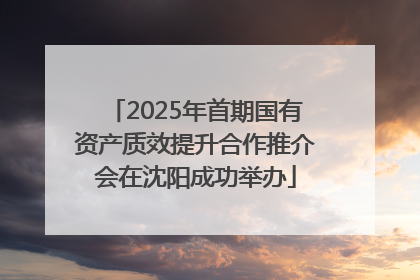 2025年首期国有资产质效提升合作推介会在沈阳成功举办