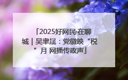 2025好网民·在聊城｜吴聿晟：党徽映“税”月 网播传政声