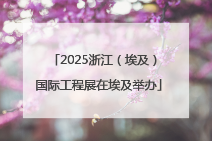 2025浙江（埃及）国际工程展在埃及举办