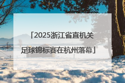 2025浙江省直机关足球锦标赛在杭州落幕
