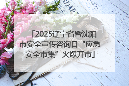 2025辽宁省暨沈阳市安全宣传咨询日“应急安全市集”火爆开市