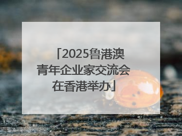 2025鲁港澳青年企业家交流会在香港举办