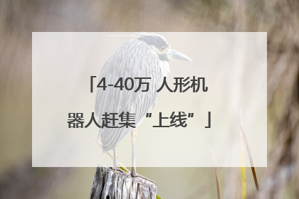 4-40万 人形机器人赶集“上线”