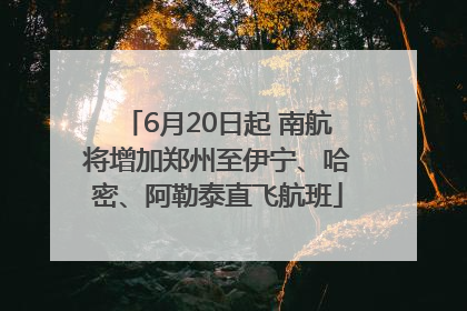 6月20日起 南航将增加郑州至伊宁、哈密、阿勒泰直飞航班