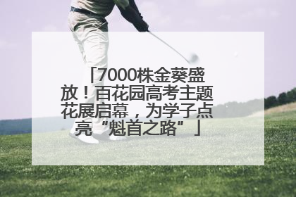 7000株金葵盛放！百花园高考主题花展启幕，为学子点亮“魁首之路”