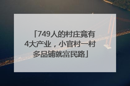 749人的村庄竟有4大产业，小官村一村多品铺就富民路