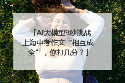 AI大模型9秒挑战上海中考作文“相互成全”，你打几分？