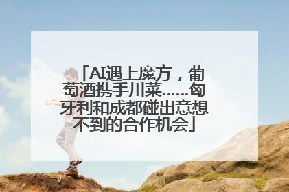 AI遇上魔方，葡萄酒携手川菜……匈牙利和成都碰出意想不到的合作机会