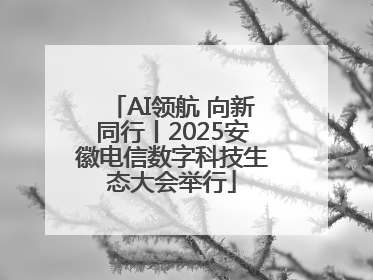 AI领航 向新同行丨2025安徽电信数字科技生态大会举行
