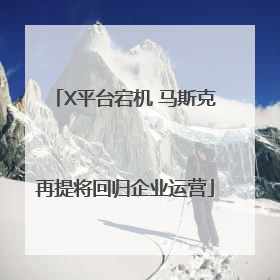 X平台宕机 马斯克再提将回归企业运营